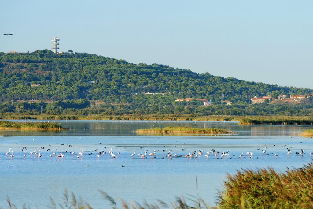 Lagrange Grand Bleu Vacances – Résidence Les Pescalunes Agde Exterior foto