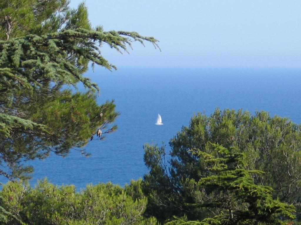 Lagrange Grand Bleu Vacances – Résidence Les Pescalunes Agde Exterior foto